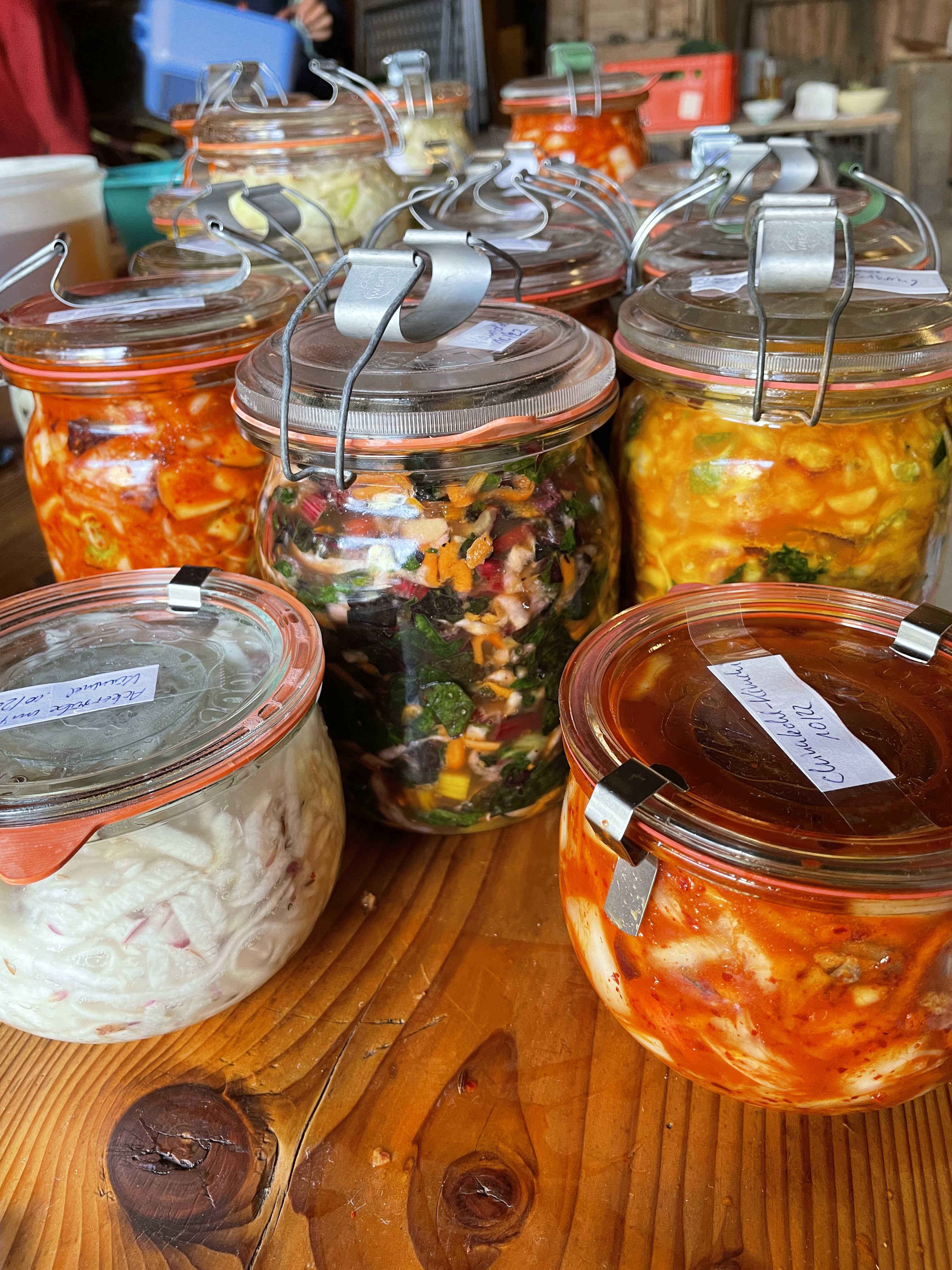Verschiedene bunte fermentierte Gemüse in Einmachgläsern auf Holztisch, Fischl Biohof Niederbayern.