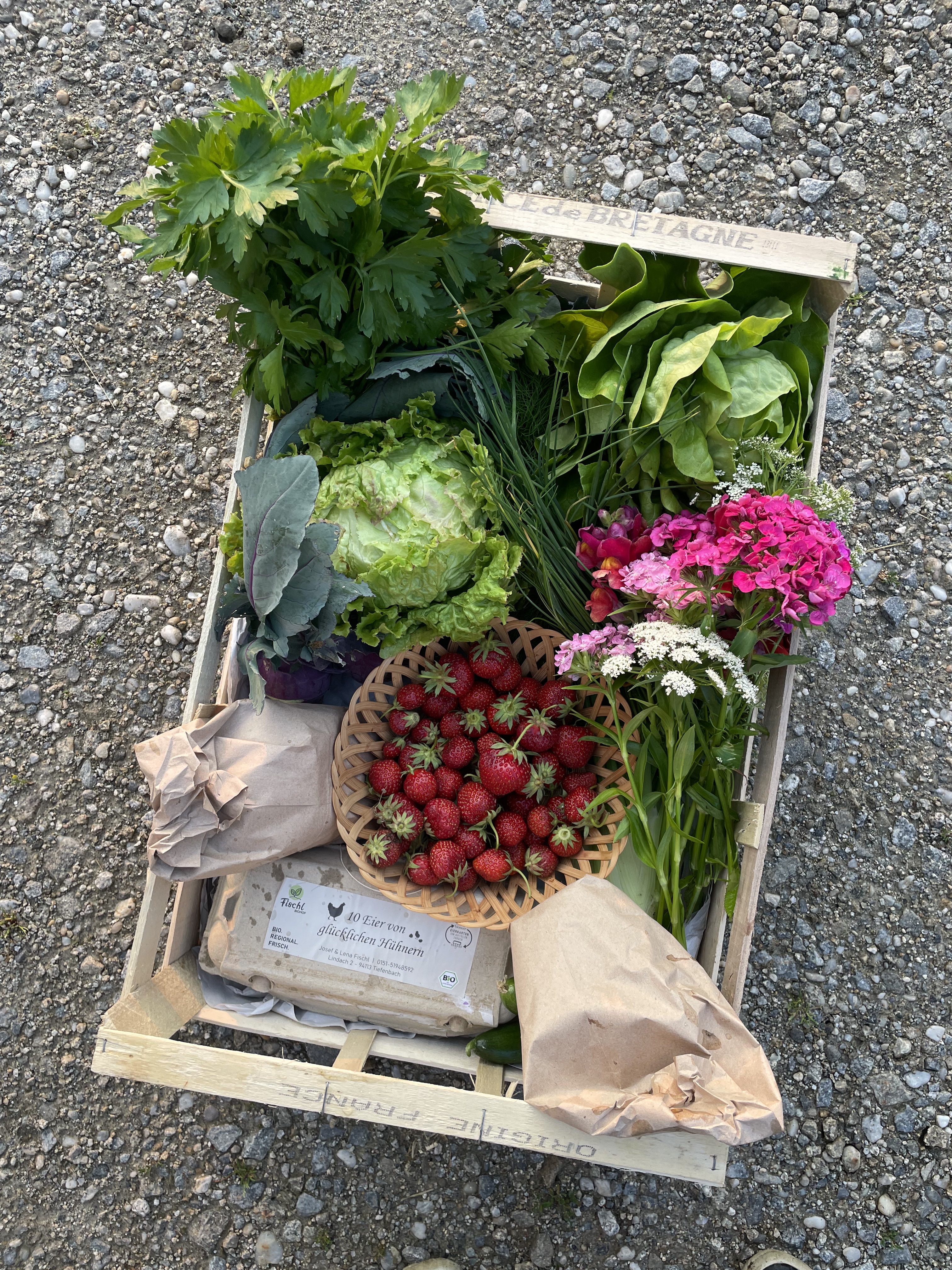 Holzkiste mit frischem Bio-Gemüse, Erdbeeren, Eiern und Blumen vom Fischl Biohof in Niederbayern